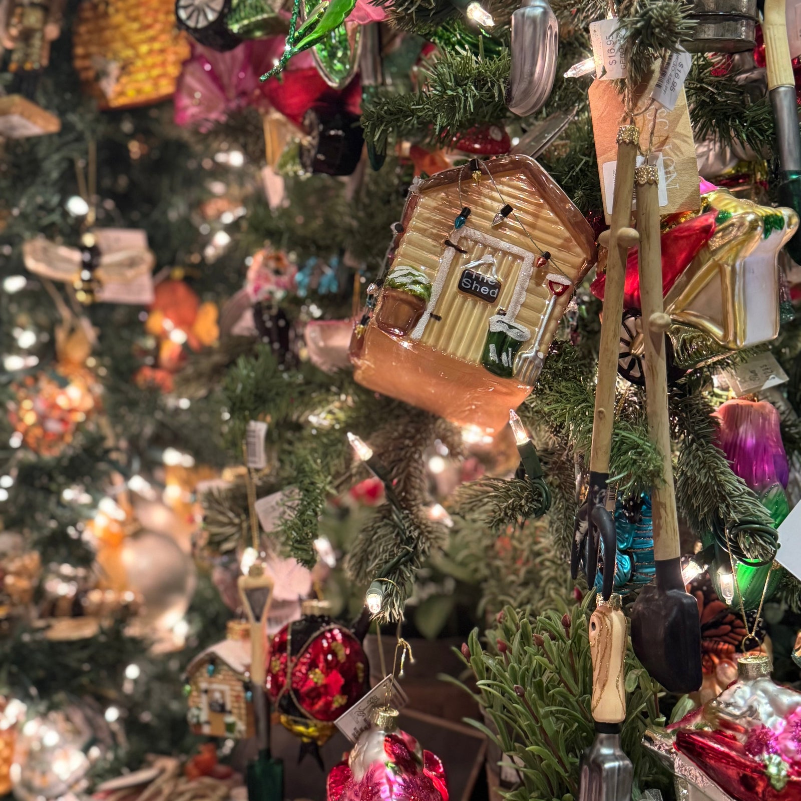 In the Garden Christmas