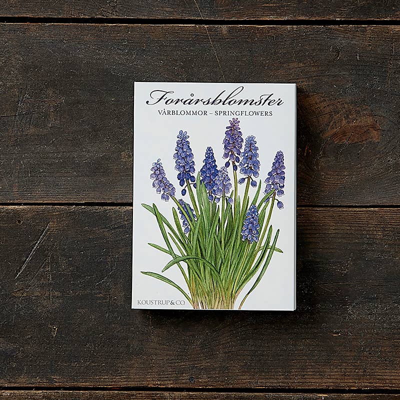 Spring Flowers Note Cards