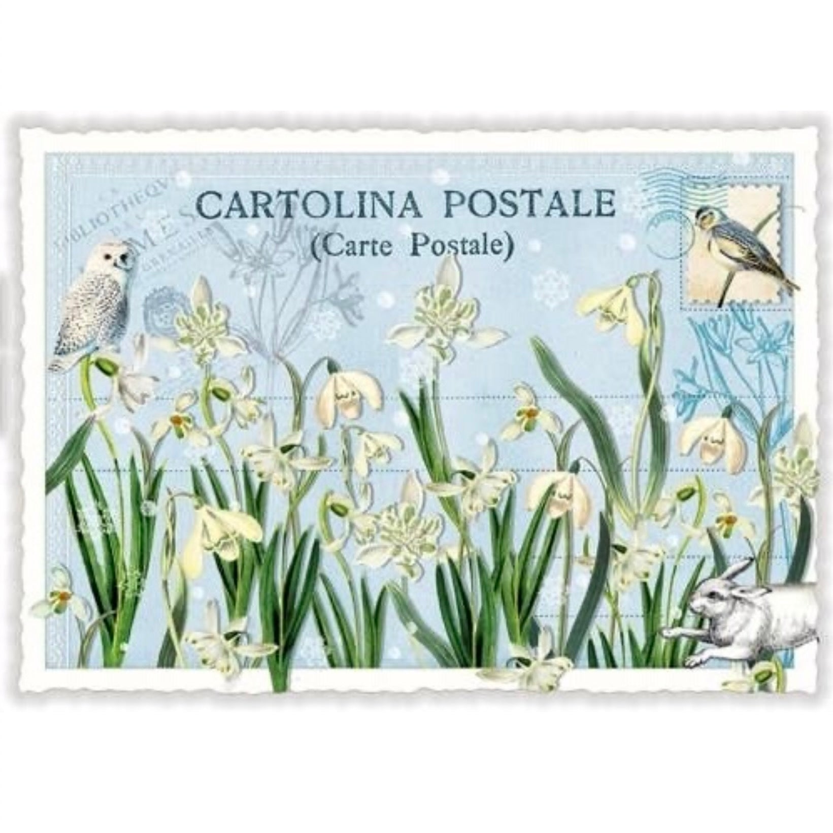 Lily of the Valley Postcard