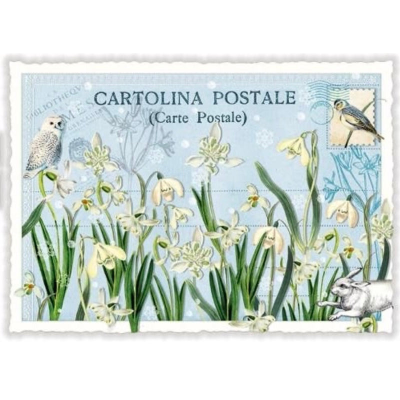 Lily of the Valley Postcard