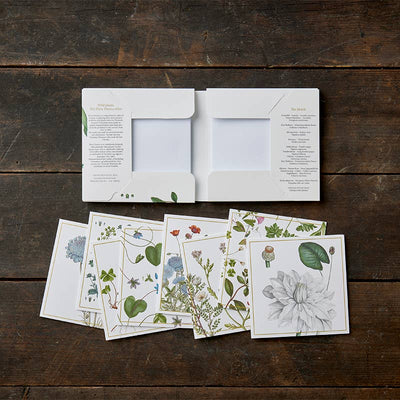 Wild Plants Note Cards