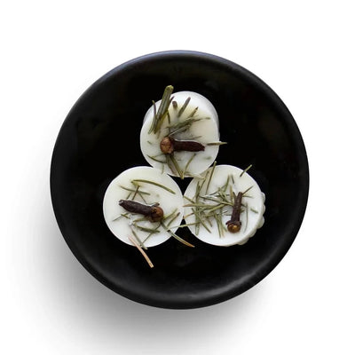 Evergreen Soy Wax Melt