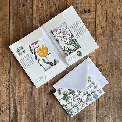 Renaissance Garden Note Cards