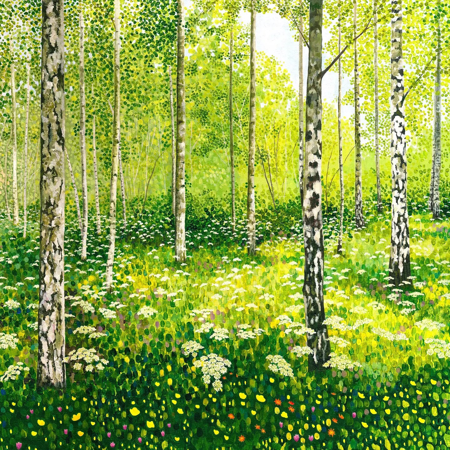 Susan Entwistle Silver Birch Copse Greeting Card | Putti Celebrations