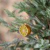 Halved Lemon Glass Ornament  | Putti Christmas Decorations