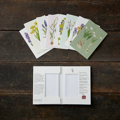 Spring Flowers Note Cards