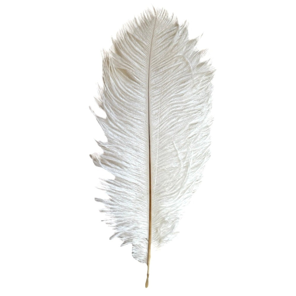 White Ostrich Feather | Putti Christmas Decorations