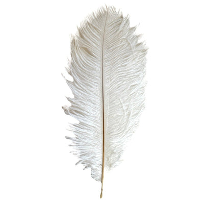 White Ostrich Feather | Putti Christmas Decorations