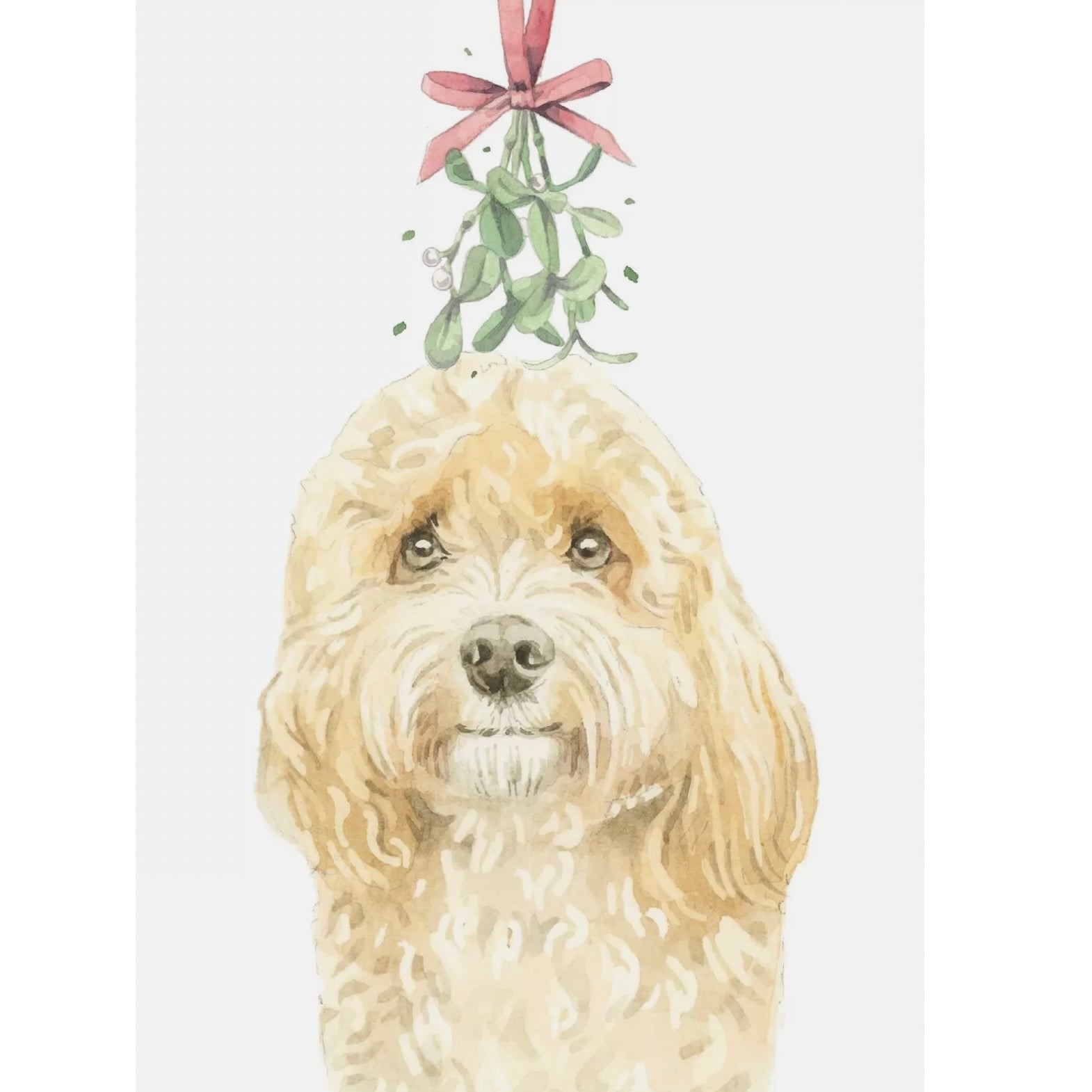 Apricot Cockapoo with Mistletoe Christmas Greeting Card | Putti Christmas