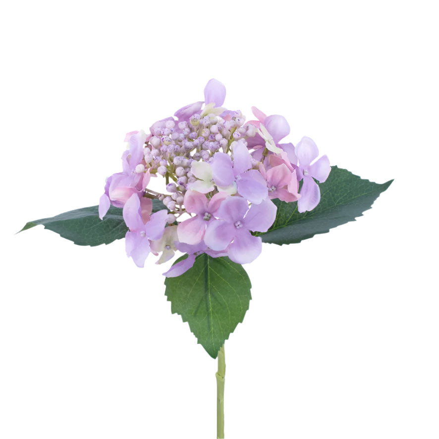 Budding Hydrangea - Lavender