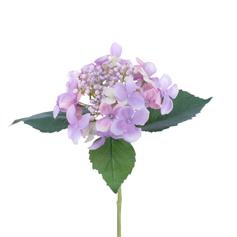 Budding Hydrangea - Lavender