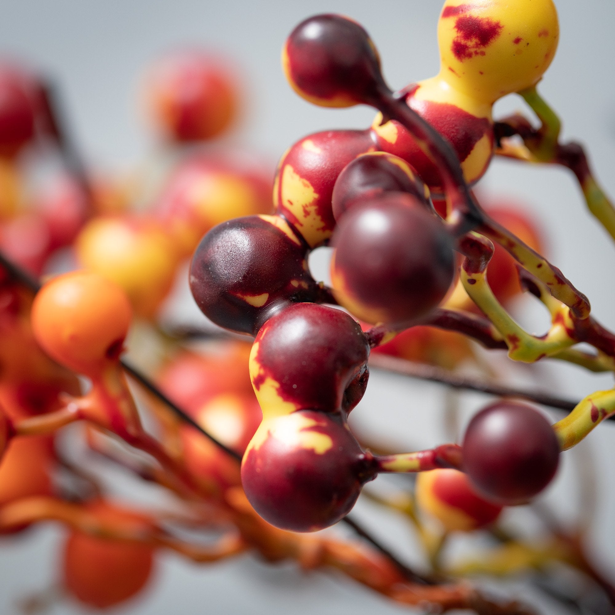 Fall Berry Stem