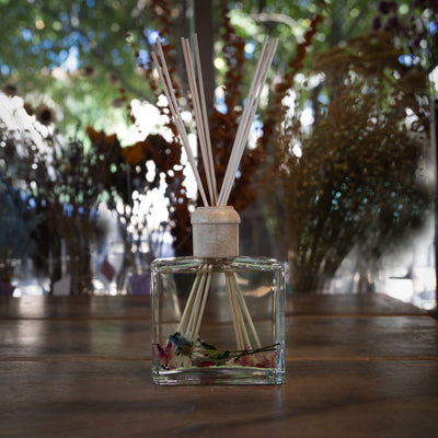 Rosy Rings - Apricot Rose 13 oz Botanical Diffuser