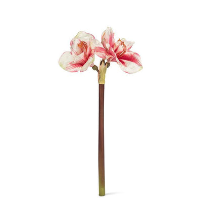 Pink Amaryllis Stem with Three Blooms | Putti Christmas Decorations