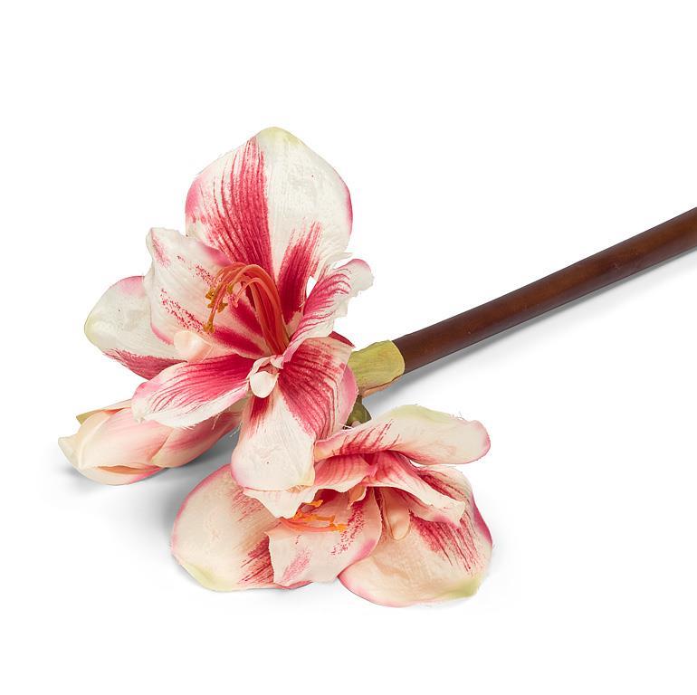Pink Amaryllis Stem with Three Blooms | Putti Christmas Decorations