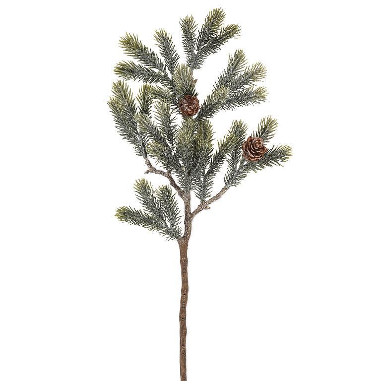 Frosted Branch with Cones
