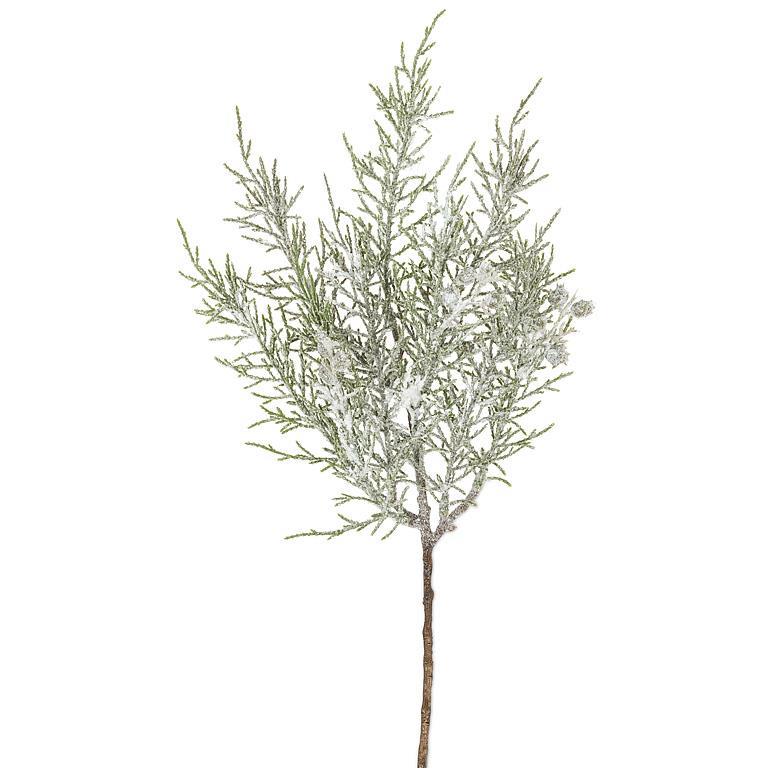 Falling Branch with Pods