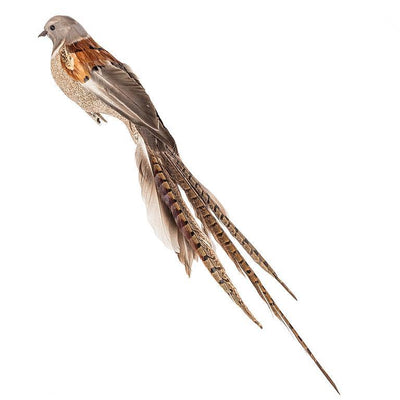 Large Natural Feather Bird Clip with Long Tail | Putti Christmas