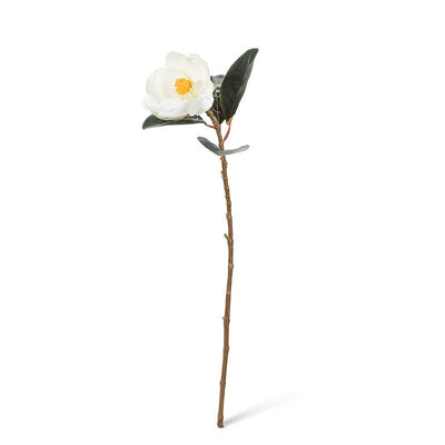 White Magnolia Bloom | Putti Fine Furnishings