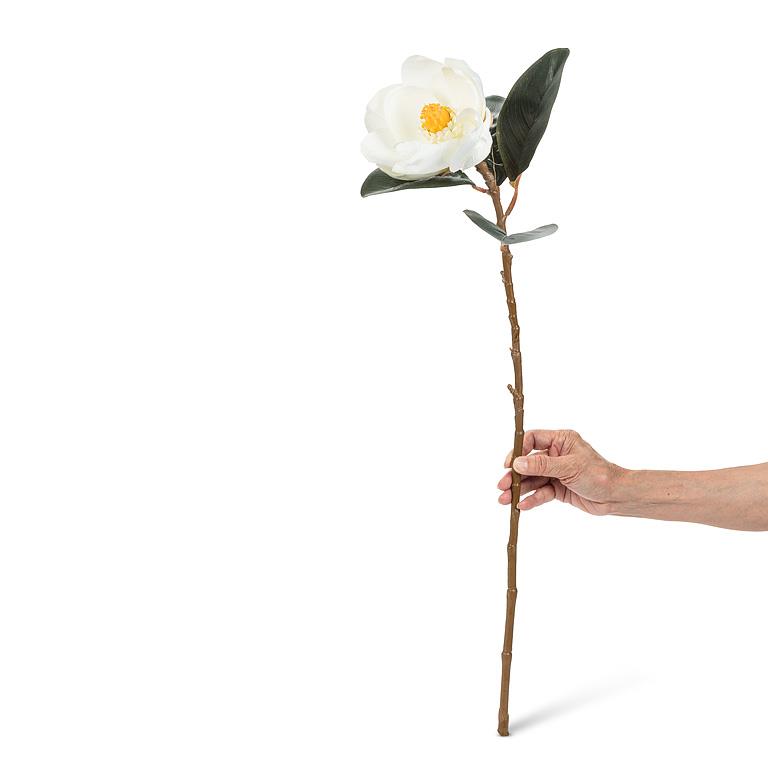 White Magnolia Bloom | Putti Fine Furnishings