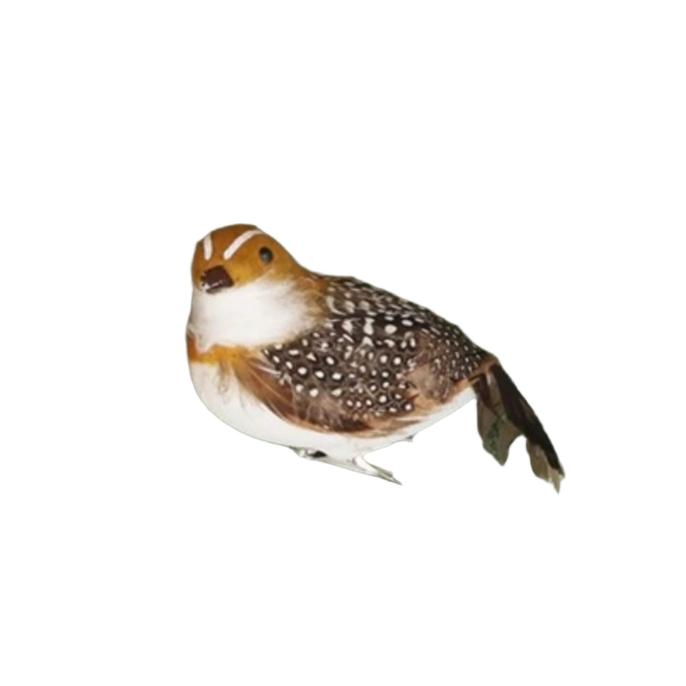 Feather Partridge with Clip | Putti Christmas Decorations