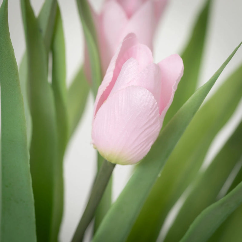 Sullivans Pink Potted Tulips | Putti Fine Furnishings