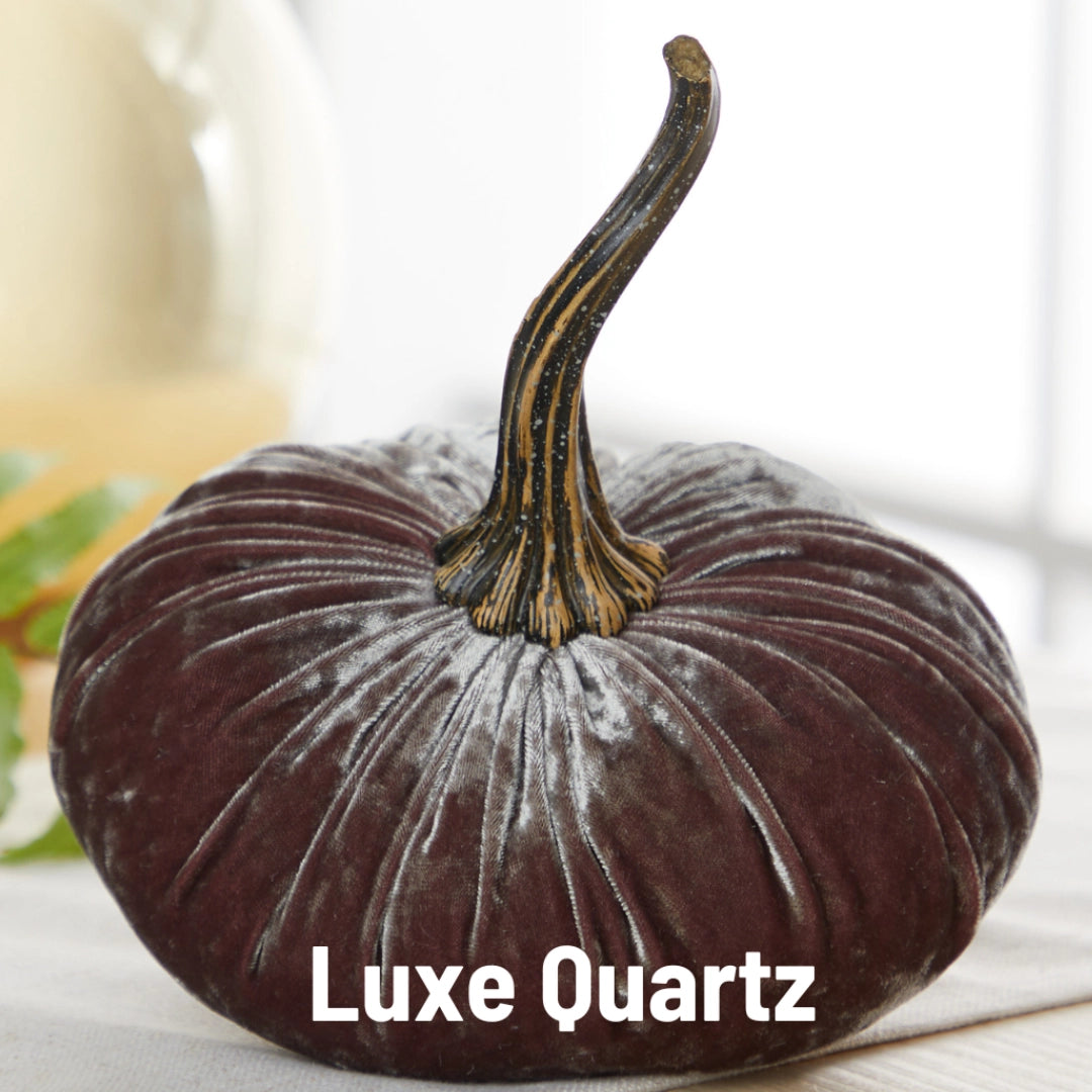 Small Velvet Pumpkin - Luxe Quartz