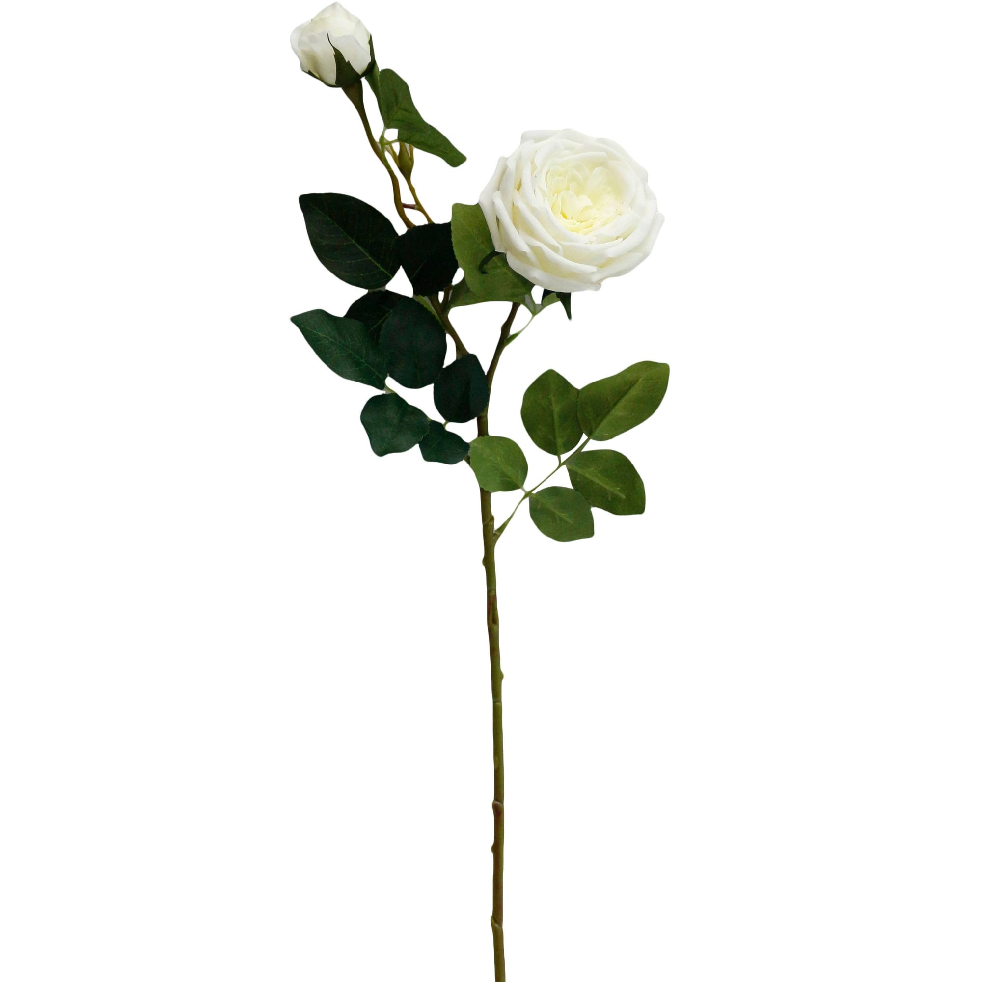 Real Touch Cabbage Garden Rose with Bud - Ivory