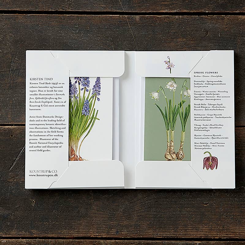 Spring Flowers Note Cards