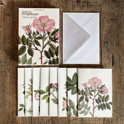 Wild Rose Note Cards