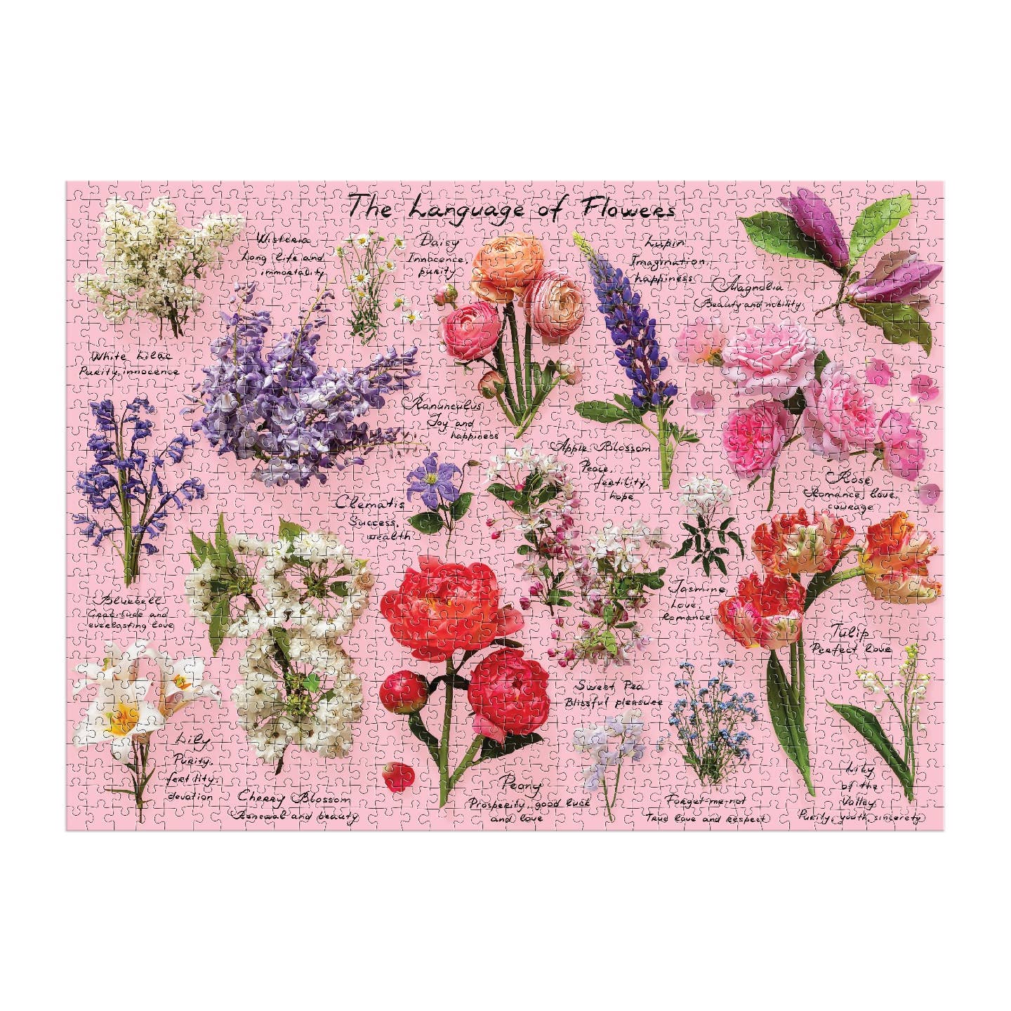 Language of Flowers 1000 Piece Puzzle - Putti Fine Furnishings
