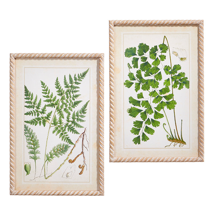 Botanical Greenery Framed Print