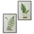 Botanical Fern Framed Print
