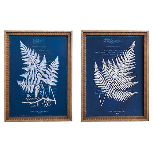 Natures Blueprints Framed Prints | Putti Fine Furnishings