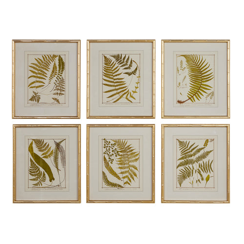 Gold Bamboo Fern Framed Prints - set of 6