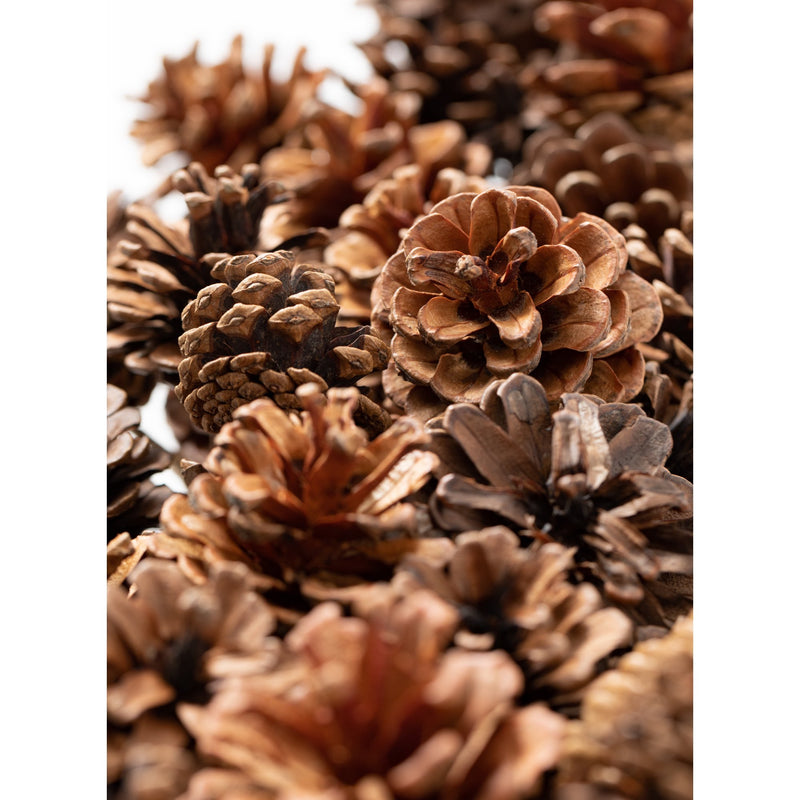 Large Pinecone Wreath