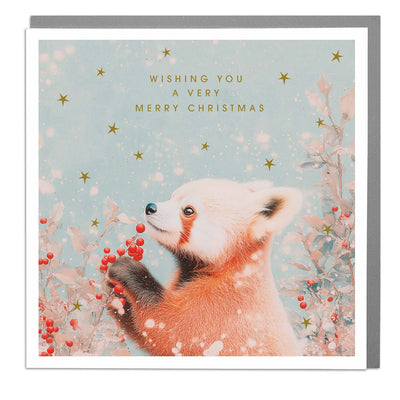 "Merry Christmas" Red Panda Greeting Card