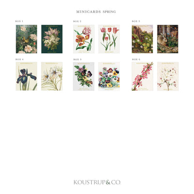 Spring Mini Note Cards