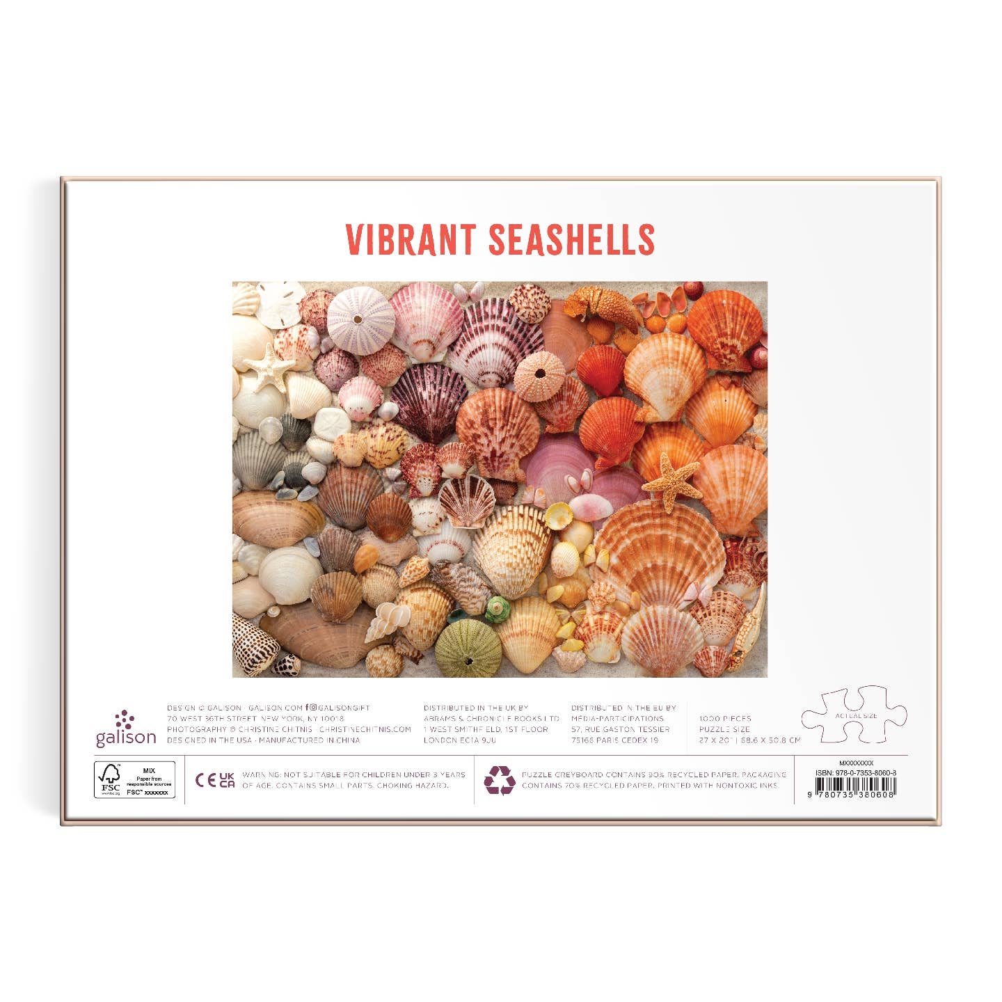 Vibrant Seashells 1000 Piece Puzzle - Putti Fine Furnishings