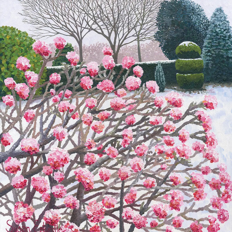 Susan Entwistle Winter Viburnum Greeting Card  | Putti Celebrations