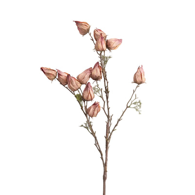 Withered Chinese Lantern Spray - Mauve