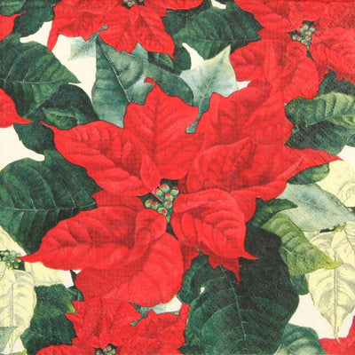 Red Poinsettia Cocktail Napkins