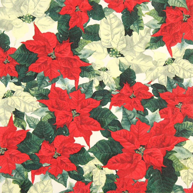 Red Poinsettia Cocktail Napkins