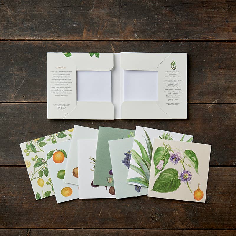 Conservatory Note Cards