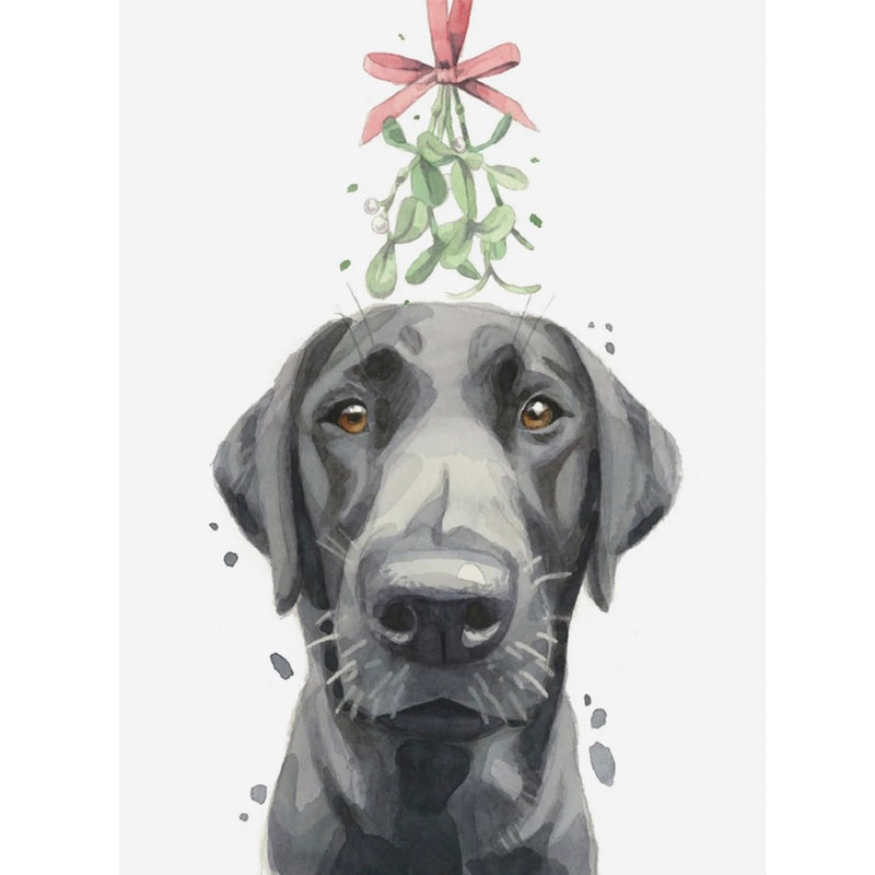 Black Labrador with Mistletoe Christmas Greeting Card | Putti Christmas
