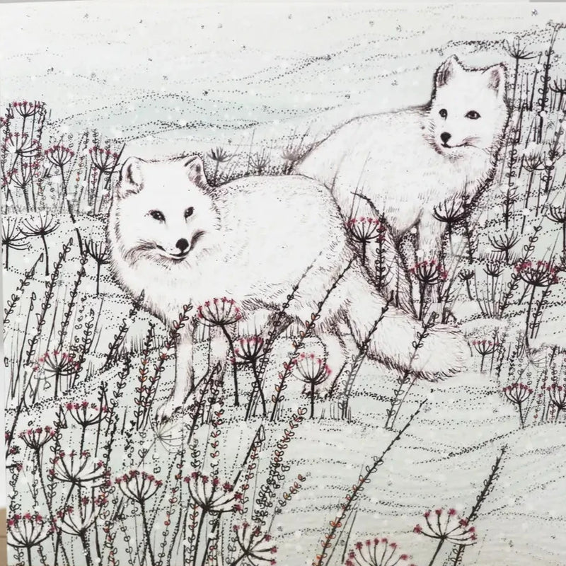 Artic Foxes Greeting Card | Putti Fine Furnishings