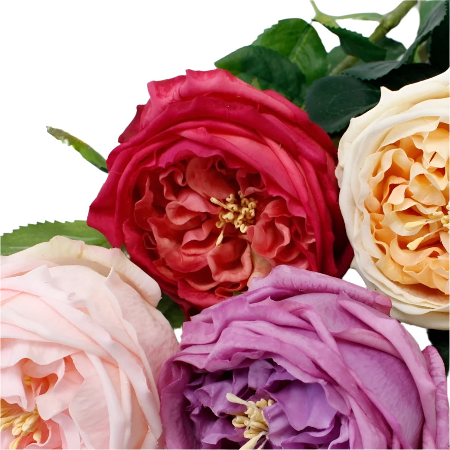 Real Touch English Austin Cabbage Rose Stem - Cherise