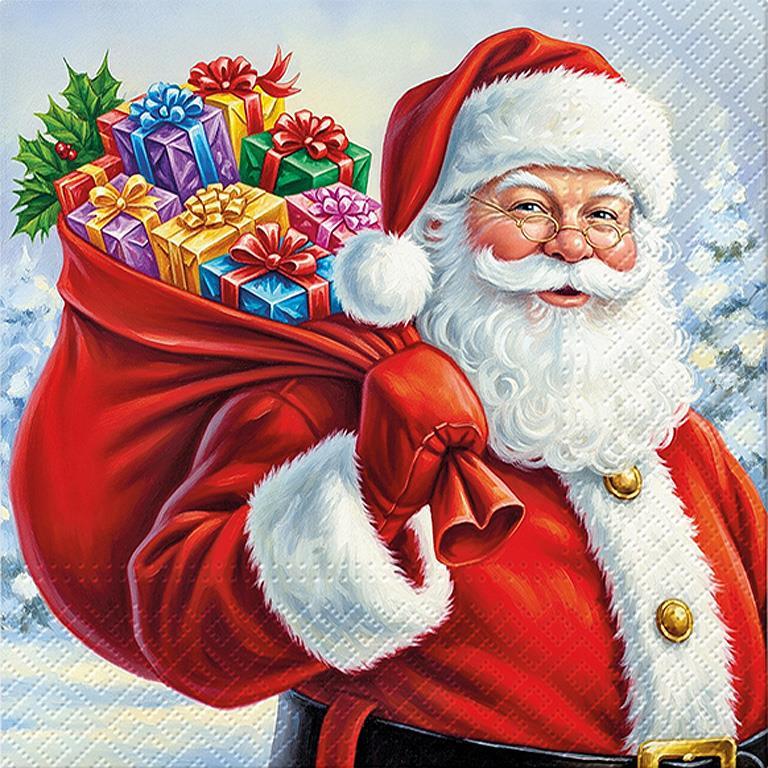 Large Santa Surprise Napkins