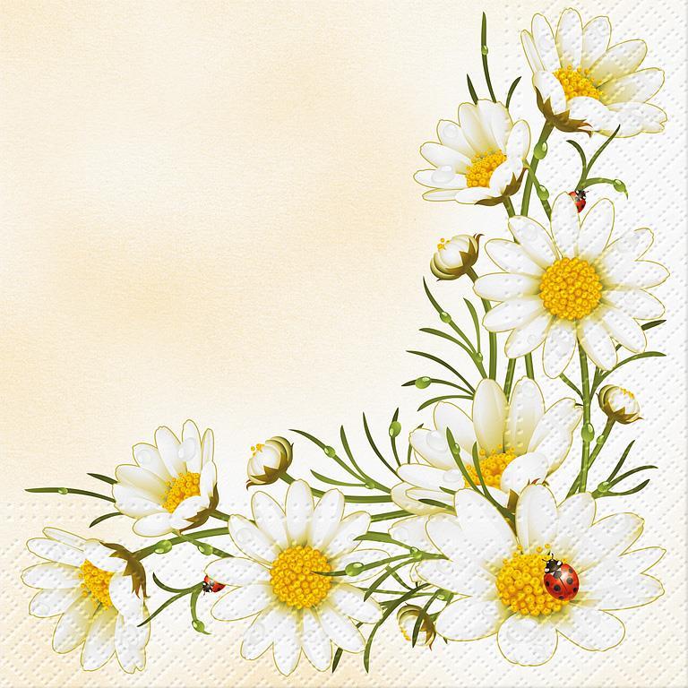 Daisy Paper Lunch Napkins | Putti Celebrations Canada