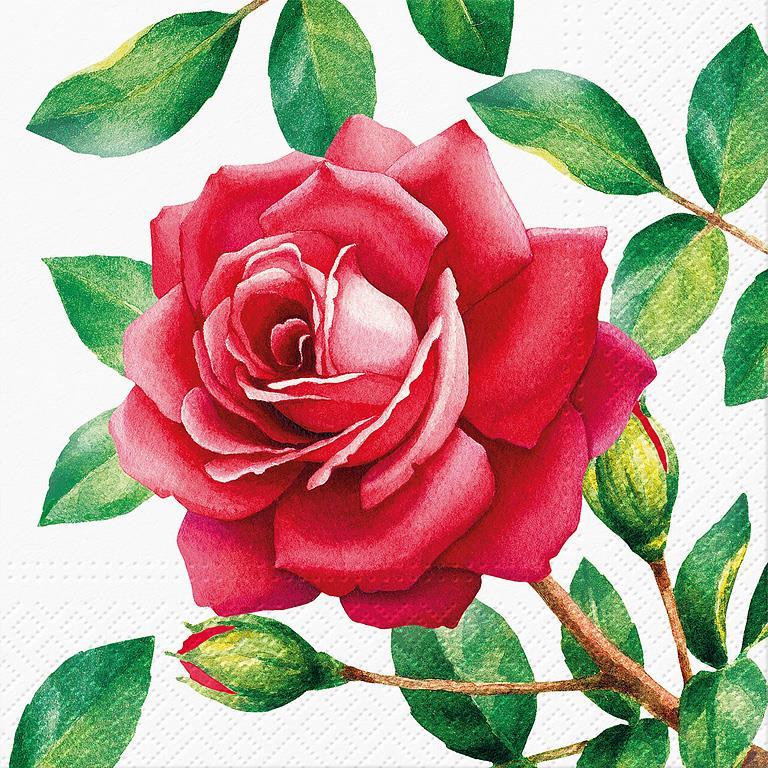 Red Rose Paper Napkins - Lunch